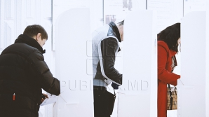 Ряд организаций национальных меньшинств поддерживают мажоритарную систему голосования