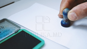 Белорусская община поддерживает реформу избирательной системы