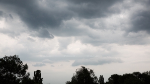 Прогноз погоды на 24 апреля