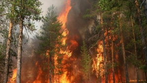 На землях Минобороны РФ в Бурятии произошел пожар