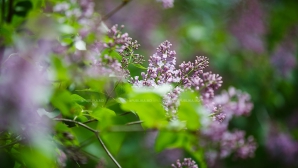 1 апреля в республике ожидается переменная облачность