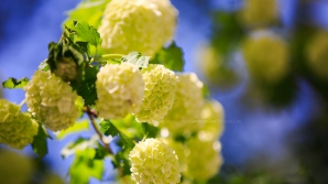 В воскресенье столбики термометров поднимутся до 23 градусов