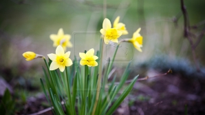 Прогноз погоды на 10 апреля