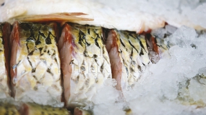 В праздник Благовещение постящимся можно употреблять в пищу рыбу