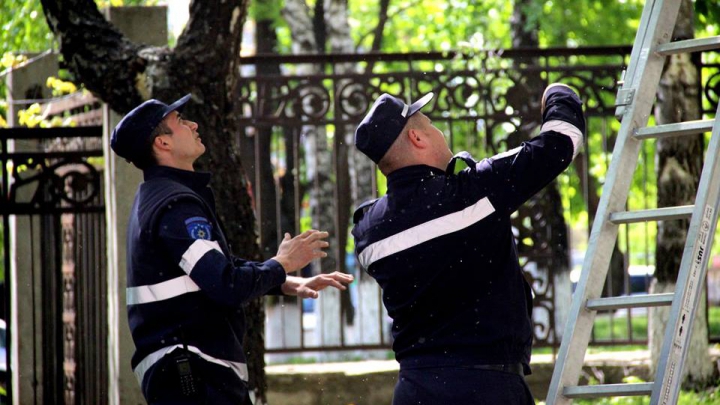 Фото: Третий день масштабной уборки в Кишинёве