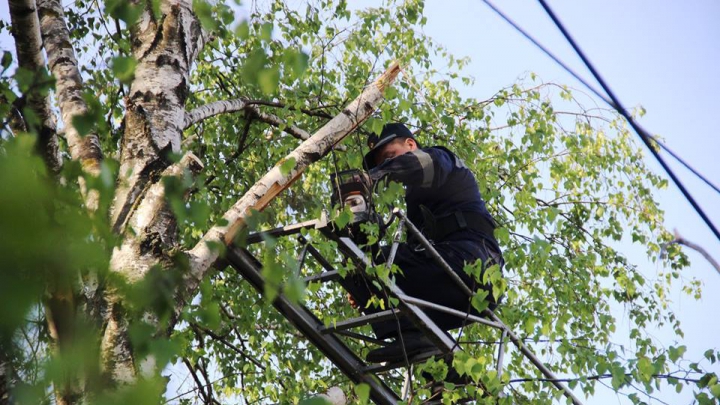 Фото: Третий день масштабной уборки в Кишинёве