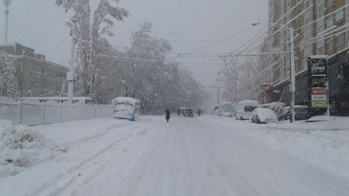 Морозный "апокалипсис": масштаб последствий
