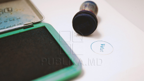 Известные люди и рядовые избиратели осуждают непоследовательность оппозиции