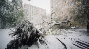 На ликвидацию последствий апрельского снегопада собрано 2,67 млн леев 