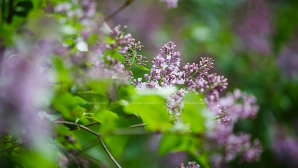 Прогноз погоды на 18 мая