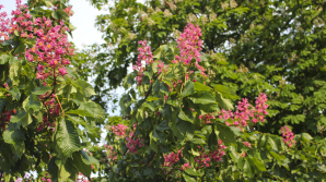 Прогноз погоды на 23 мая