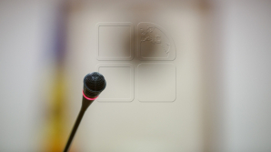 Назначены новые заместители министров образования, транспорта и окружающей среды