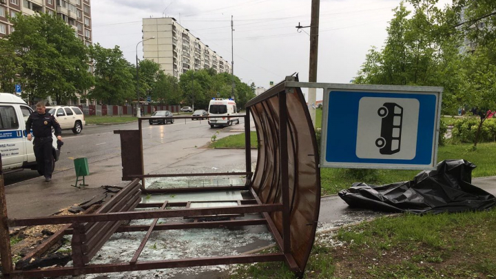 Ураган в Москве оказался самым смертоносным за 100 лет: фото