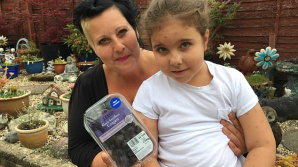 Мать купила дочери упаковку винограда, в которой нашла одного из самых опасных в мире пауков