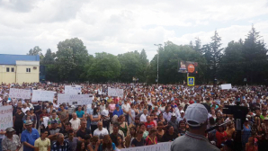 30 тысяч человек приняли участие в митингах в поддержку смешанной избирательной системы