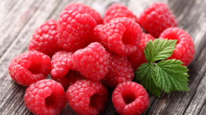 Фермеры из села Покровка Дондюшанского района начали сбор урожая малины