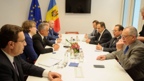 Делегация ДПМ провела плодотворные переговоры с некоторыми евродепутатами