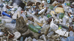 В Цынцэренах прошло всеобщее собрание по вопросу о возобновлении работы свалки