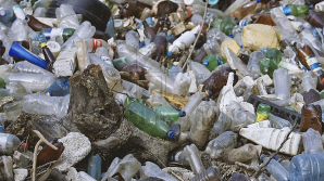 В столице начали дезинфекцию мусорных площадок