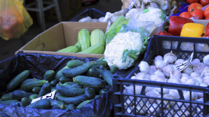 В Молдове приступили к выращиванию овощей без химикатов