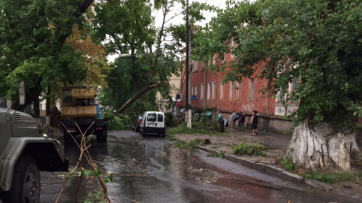 Ураган в Кишинёве: десятки деревьев повалены, есть пострадавшие 