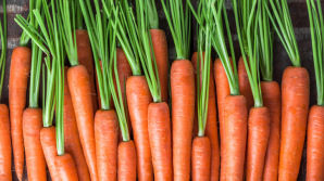 Ученые назвали самый полезный в мире овощ