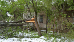 В столице продолжают ликвидировать последствия апрельских снегопадов