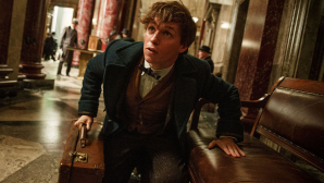 Начались съемки нового фильма по вселенной Джоан Роулинг