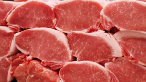 В США на крышу дома с неба свалилась замороженная свинина