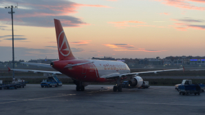 Пассажирский самолёт Turkish Airlines экстренно сел в Алжире из-за угрозы взрыва