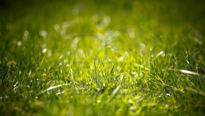 С 11 июля и до конца недели по всей стране ожидаются кратковременные дожди с грозами