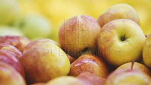 Плодоовощную продукцию из Молдовы теперь можно растаможить на любом КПП России