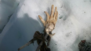 В горах нашли оторванную руку пассажира, погибшего в авиакатастрофе 50 лет назад