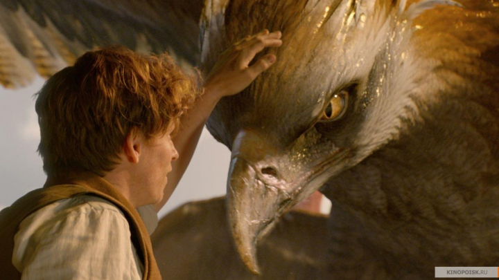 Начались съемки фильма "Фантастические твари и где они обитают - 2"