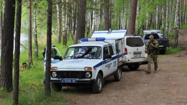 В тайге собака спасла заблудившегося хозяина от медведя