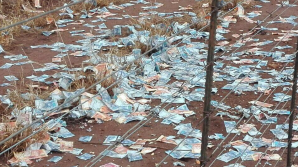 Грабители не рассчитали со взрывчаткой и устроили денежный дождь из $2 млн