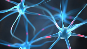 Учёный рассказал, как и почему мы чувствуем чужую боль