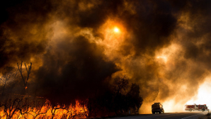 Лесные пожары не прекращаются в Португалии и Франции