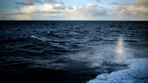 Крымские пограничники спасли украинца, унесенного в море на батуте