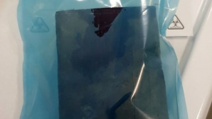 Хулиганы забили гвоздь в череп мальчика-аутиста, который отстал от родителей (18+)