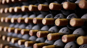 Аграрии: В этом году урожай винограда будет больше, а качество вина - лучше