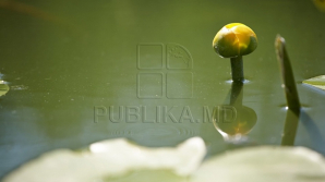 Прогноз погоды на 24 августа 