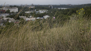 В Молдове по-прежнему действует желтый код метеоопасности из-за непогоды