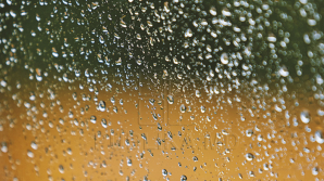 Прогноз погоды на 22 августа 