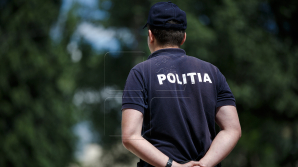 Полицейские обнаружили в Леовском районе плантацию конопли