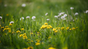 5 августа в Молдове ожидается знойная жара