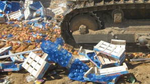 С августа 2015 года Россия уничтожила почти 17 тысяч тонн санкционного продовольствия