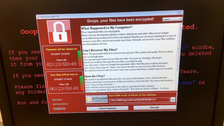 Со счетов авторов вируса WannaCry пропали все деньги