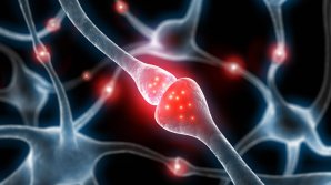 Биологи раскрыли необычную связь между шизофренией и сном