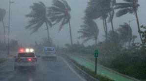 Во Флориде полиция арестовала 30 человек за грабежи и мародерство